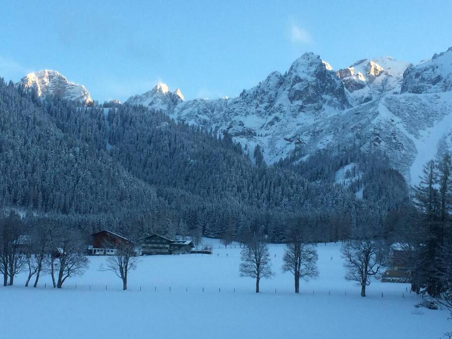 Family Appartment - Dachstein View Ramsau am Dachstein Exterior foto