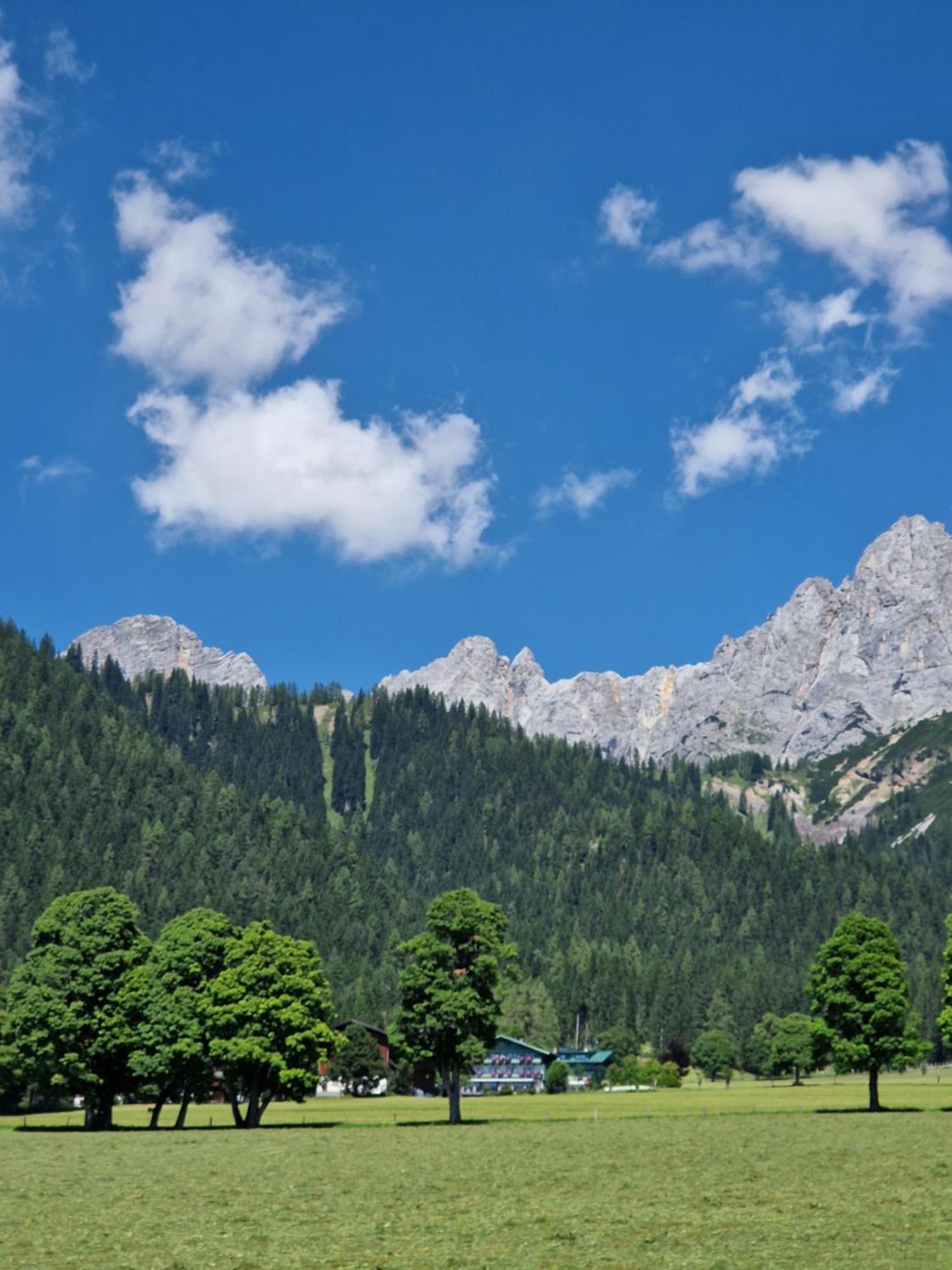 Family Appartment - Dachstein View Ramsau am Dachstein Exterior foto